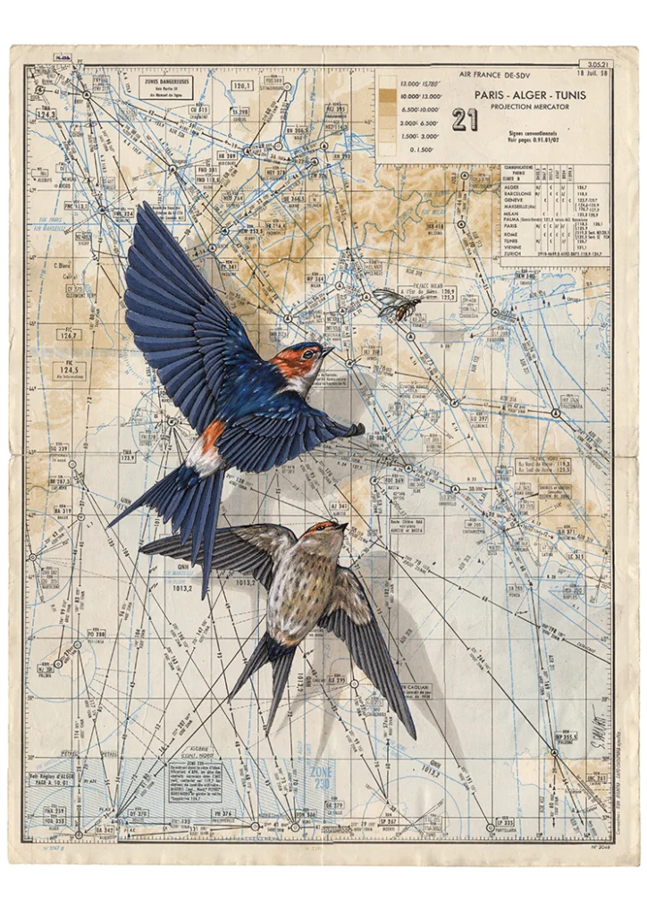 Hirondelles rousselines en transit - PARIS ALGER TUNIS Steeven Salvat, Hirondelles rousselines en transit. Paris-Alger, Tunis (Golondrinas de rabadilla roja en tránsito. París-Argel,Túnez), 2026.